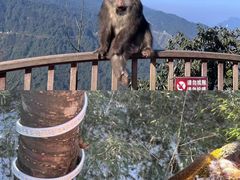 -峨眉山风景名胜区