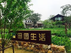 -田园东方蜜桃村的田野营地
