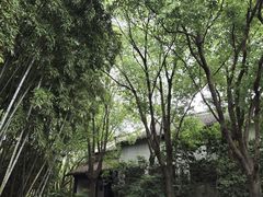 -乌镇东栅景区
