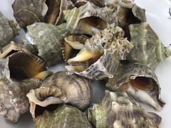 -北戴河庆山饭店·海鲜砂锅粥(北戴河黑石路店)