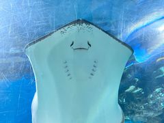 -福州罗源湾海洋世界旅游区