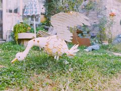 -荒度咖啡(北九水店)