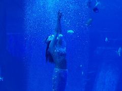 -太平洋海底世界