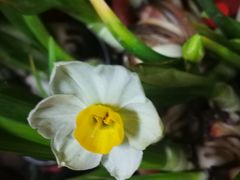 -三旗百汇商品城