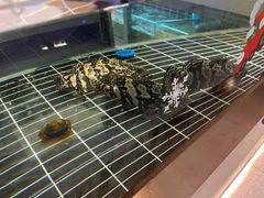 -海底捞火锅(苏宁广场店)