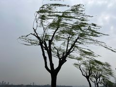 -宝界山林公园