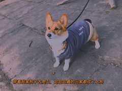 -剑门关风景区