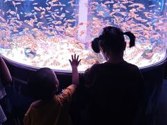 -海合安成都极地海洋公园
