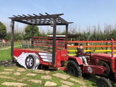 -田园东方蜜桃村的田野营地