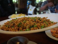 -绿光森林餐厅