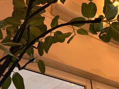 -小团圆糖水铺(襄阳南路店)