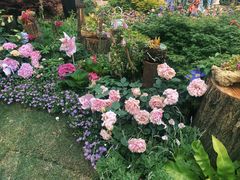 -武汉园博园(武汉自然博物馆)