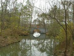 -溱湖国家湿地公园