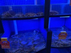 -七欣天香辣蟹火锅(万润龙河店)