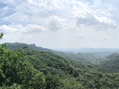 -天女山森林公园