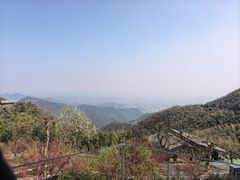 -莫干山风景区