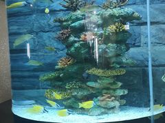 -乌鲁木齐海洋馆