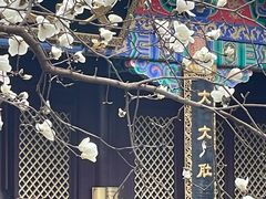 -护国法轮寺