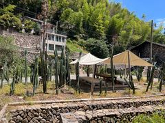 -MOJ coffee(瓯海泽雅水碓坑店)