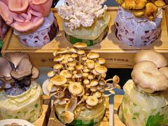 -烹然四季椰子鸡火锅(姚家园万象汇店)