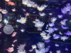 -太平洋海底世界