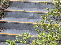 -徐家汇源景区-衡山公园