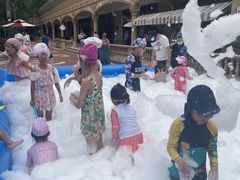 -上海虹桥西郊庄园丽笙大酒店