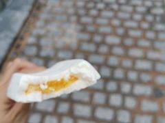 -钟薛高(南头古城店)