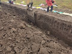 -解家河南菜(商鼎路店)