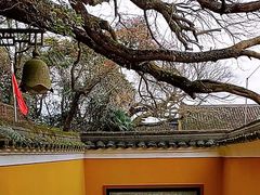 -普陀山风景区-佛顶山