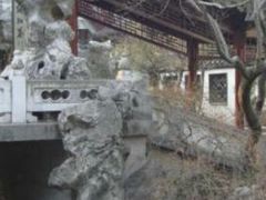 -盆景园(扬州大运河文化旅游度假区)
