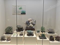 -安徽省地质博物馆