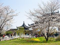 -苏州上方山国家森林公园