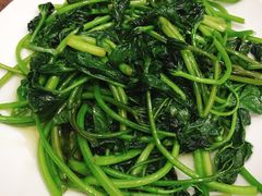 清炒苕尖-蓝精灵饺子店