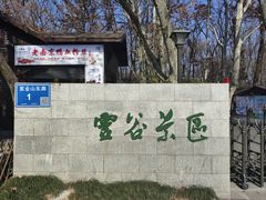 -灵谷景区