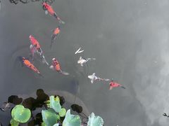 -梁园