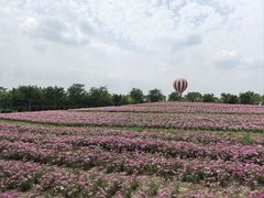 -歌斐颂巧克力小镇