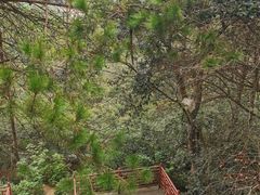 -青龙山国家森林公园