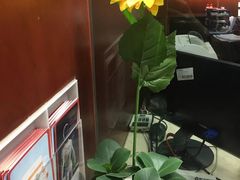 -招商银行(上海周浦支行)