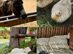 -HERRE·FARM 赫尔露营农场·团建聚会包场