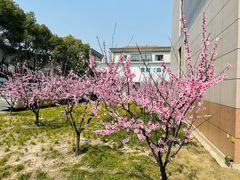 -国家电网(金山供电营业厅)