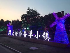 -大塘金香草谷