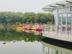 -大兴滨河森林公园