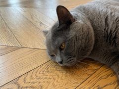 -Me Coffee下午茶艺术空间