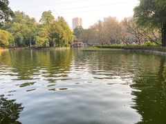 -晓港公园