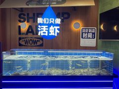 -0048鲜活香辣虾·火锅(铜陵路店)