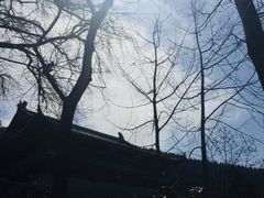-青岛崂山太清宫