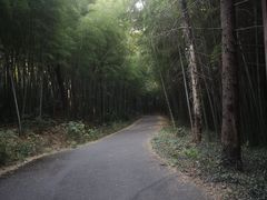 -苏州环秀晓筑养生度假村