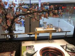 -洪氏嗨捞·猪肚鸡火锅(阳光天地店)