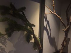 -上足·影院足道·SPA(红岭店)